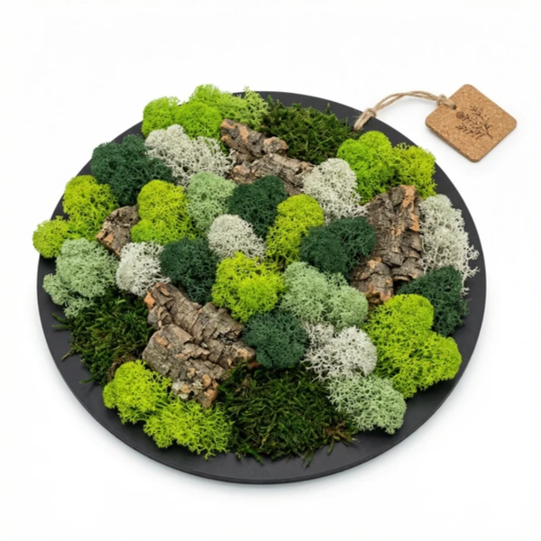 Quadro muschio stabilizzato tondo nero - vista frontale con cornice e muschio verde vivido