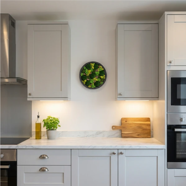 Quadro tondo - decorazione da parete in ambiente moderno con verde stabilizzato