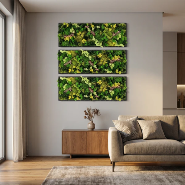 Quadro muschio stabilizzato 90x30 cm - vista frontale con elegante cornice nera