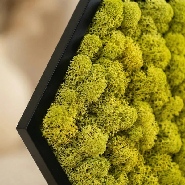 quadro verde stabilizzato - esempio di posizionamento in ufficio moderno